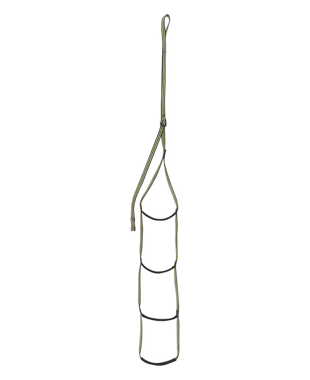 德国  爱德瑞德 Edelrid  Aid Climber	88156登山攀岩  绳梯上升器
